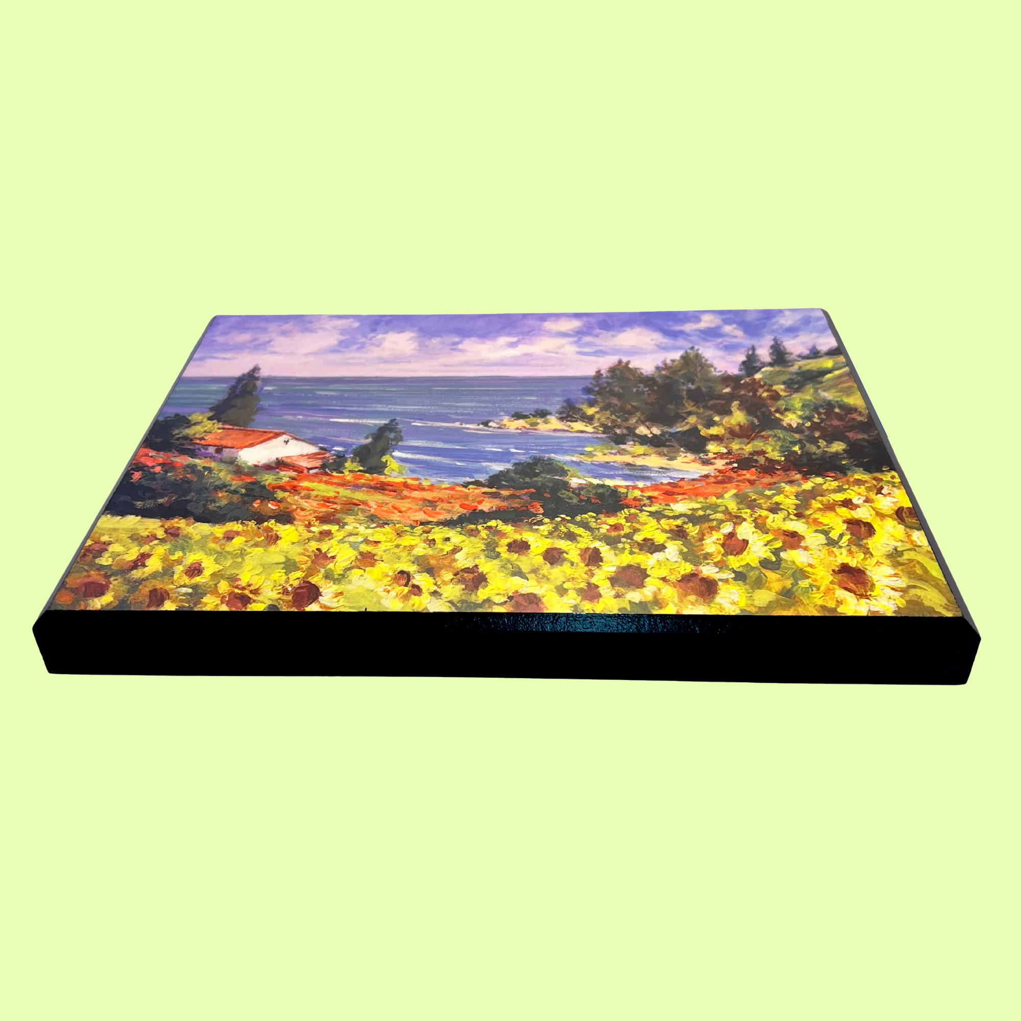 Flush Mount - Popular Sizes Super Plak Inc.