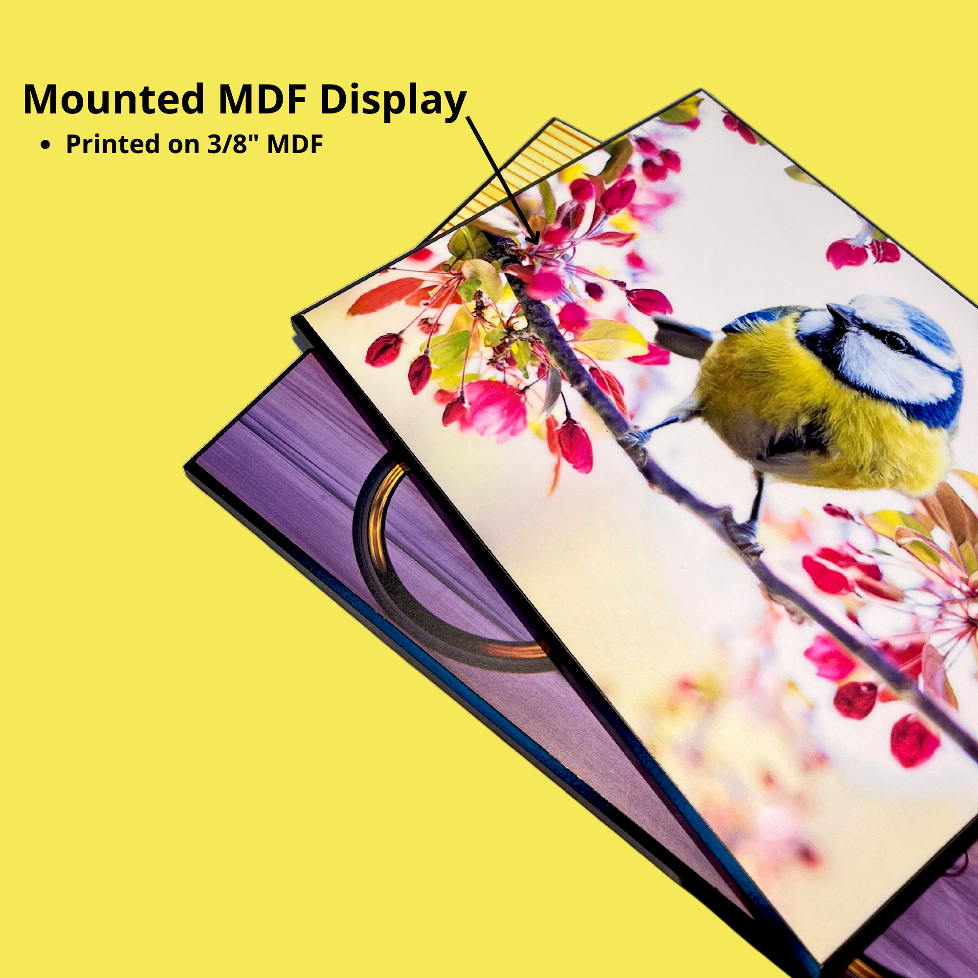 Plak Mount Super Plak Inc.