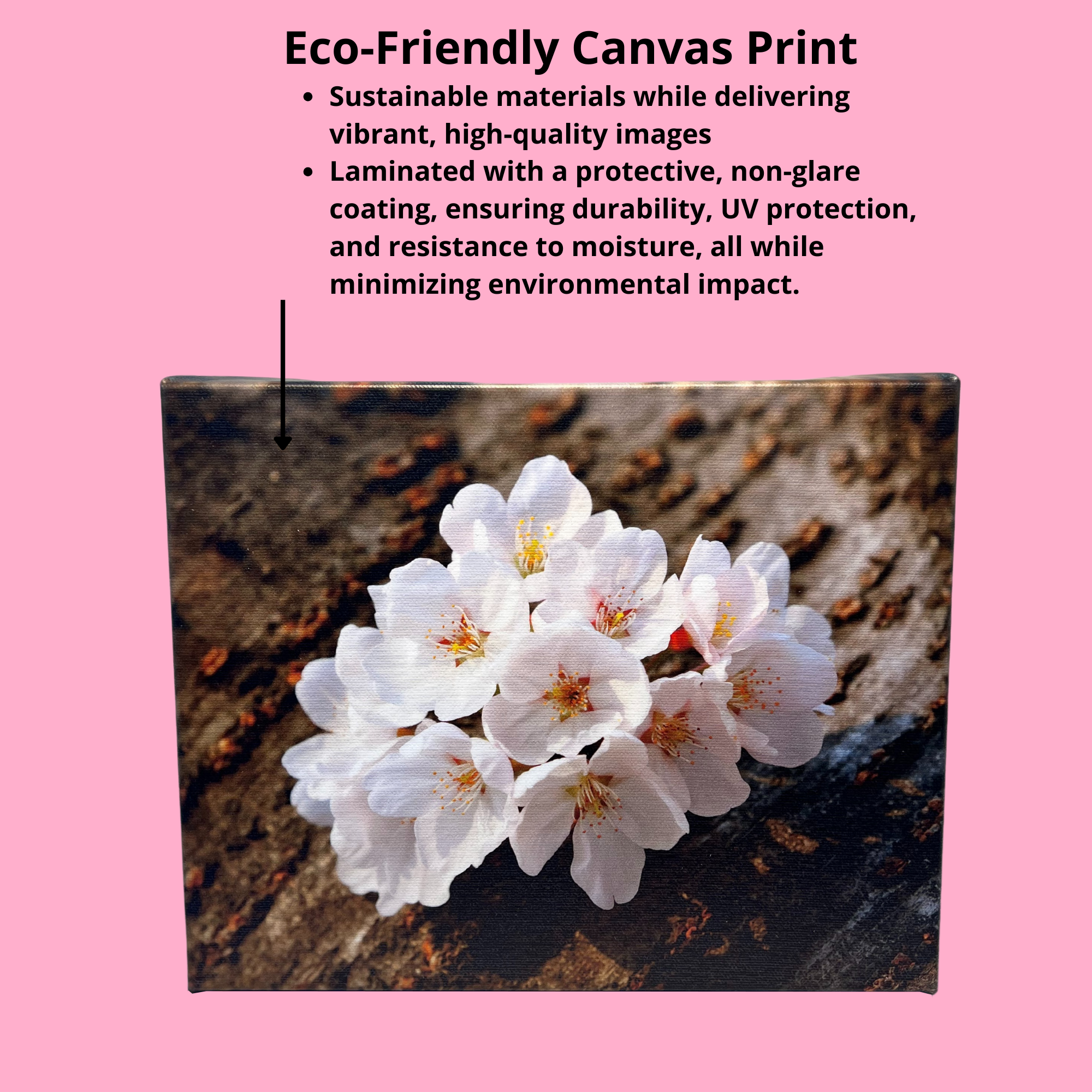 Canvas Wraps - Popular Sizes Super Plak Inc.