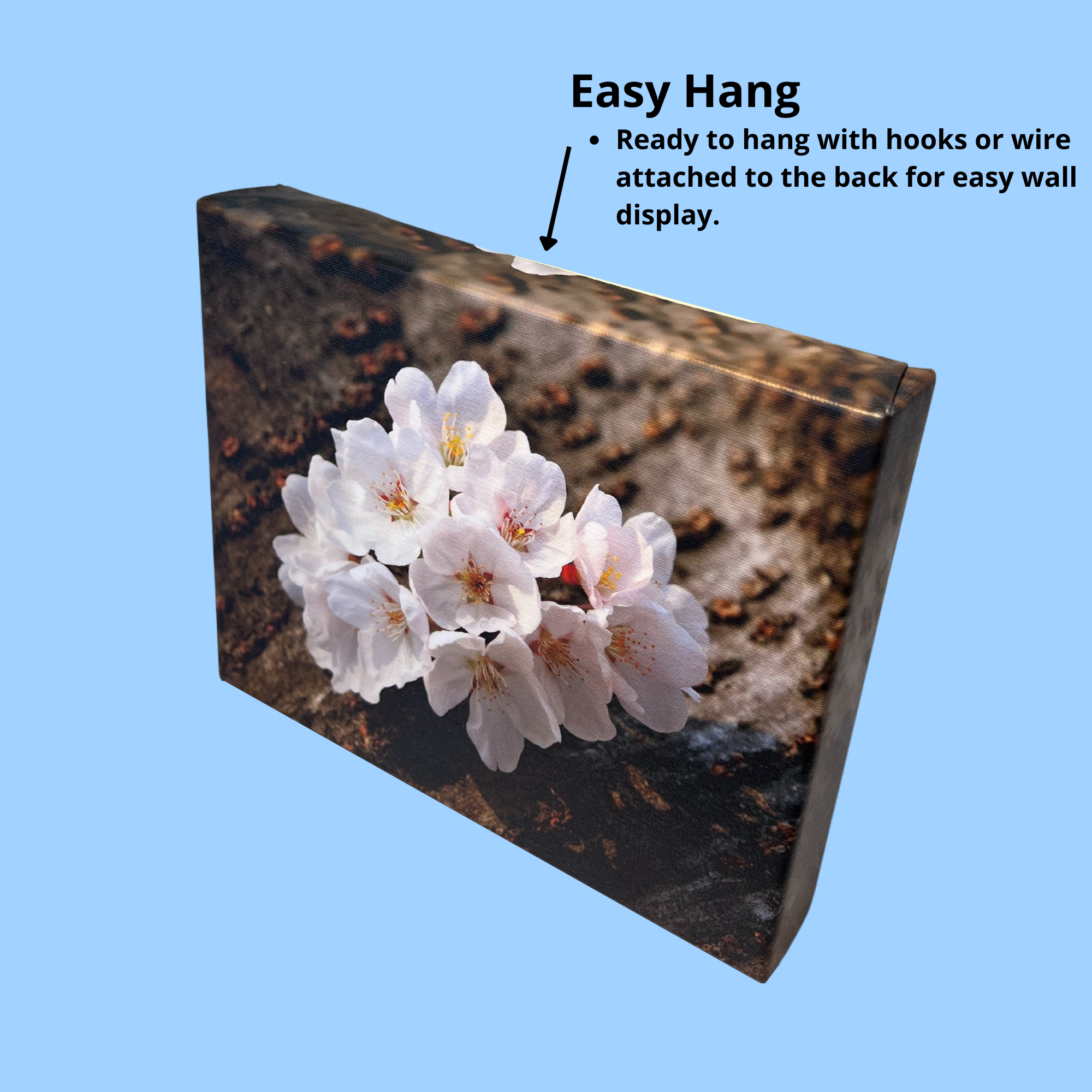 Canvas Wraps - Popular Sizes Super Plak Inc.