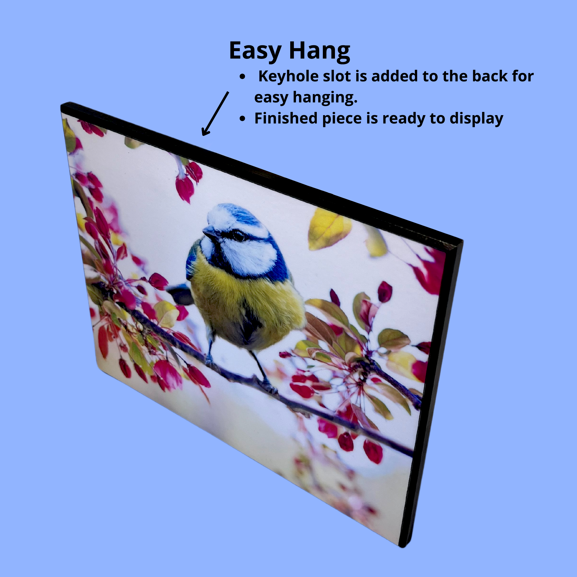 Plak Mount Super Plak Inc.