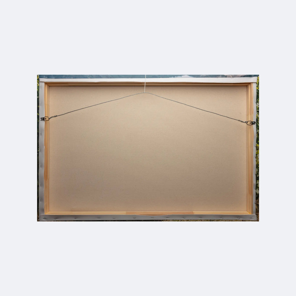 Canvas Wrap Hanging Wire