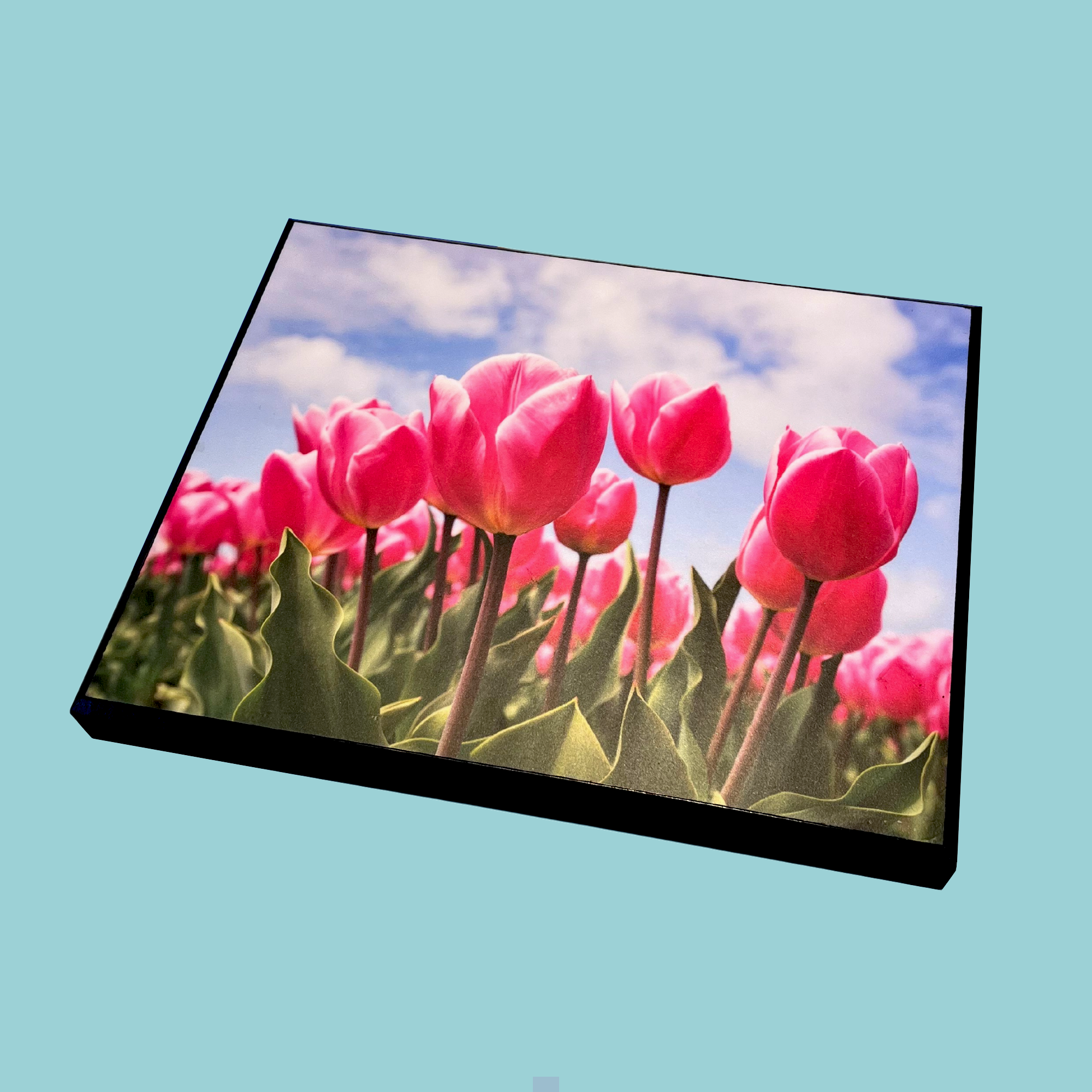 Custom Flush Mount, Super Plak Inc.