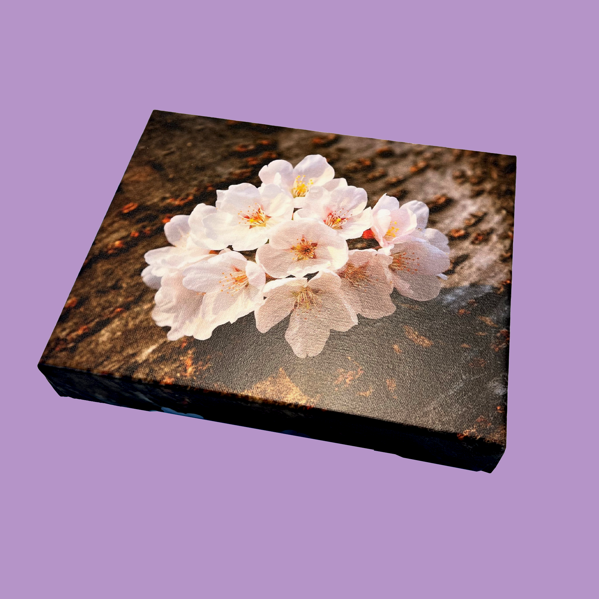 Custom Canvas Wraps, Super Plak Inc.