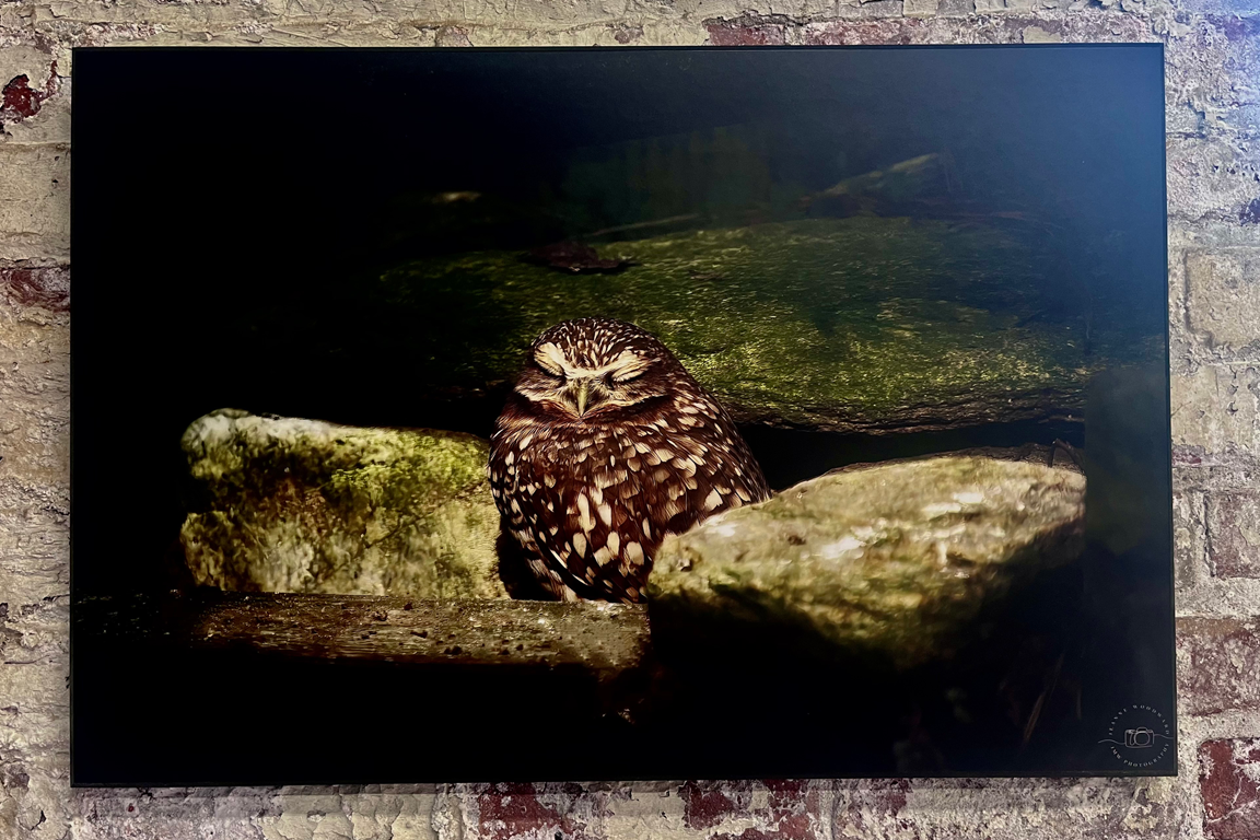 How To Hang A Super Plak